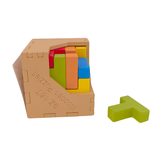 Wooden Puzzle Toy